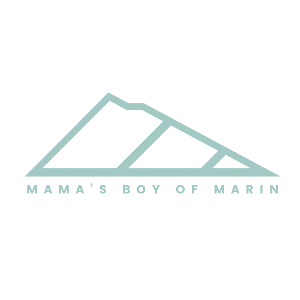 Mama’s Boy of Marin logo designed for a music duo, featuring modern typography and brand identity