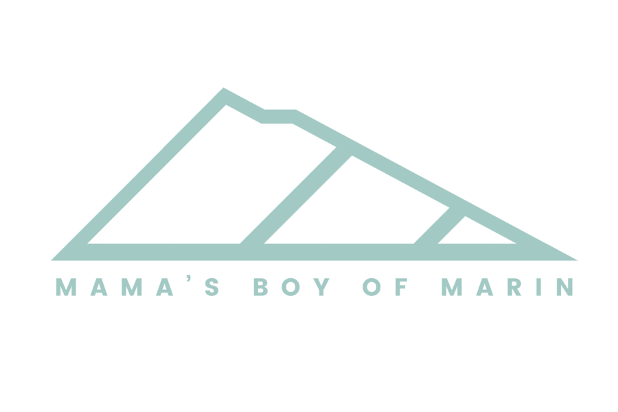 Mama’s Boy of Marin logo designed for a music duo, featuring modern typography and brand identity
